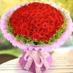 100朵红玫瑰,心中彼此牵绊