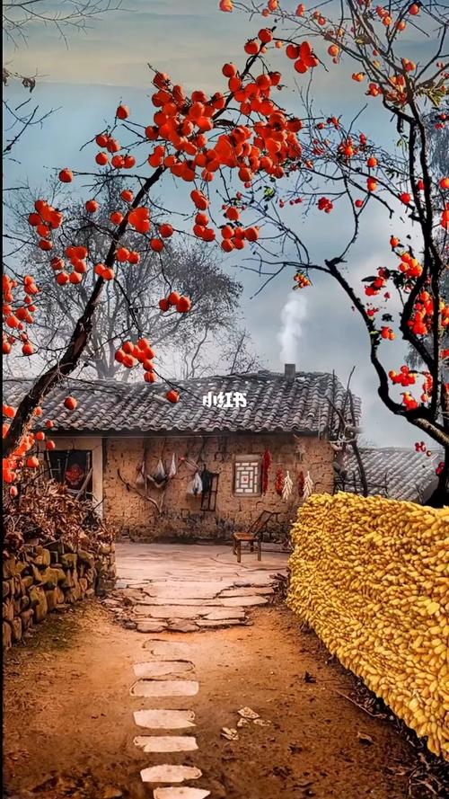 红枣树_红枣_风景_沿途的风景_文化_绘画