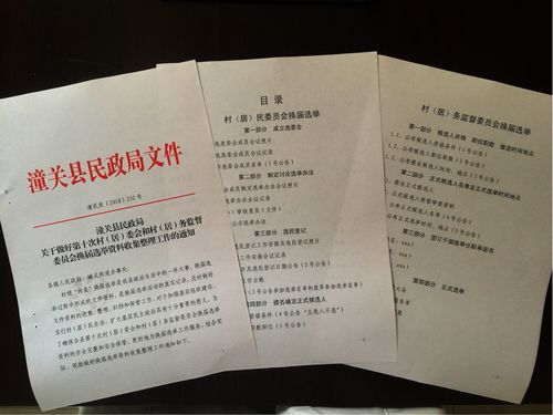 潼关县村级"两委"换届选举资料之"一村一台账".