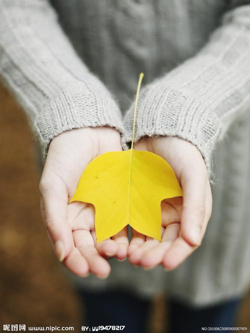 手捧树叶的人图片