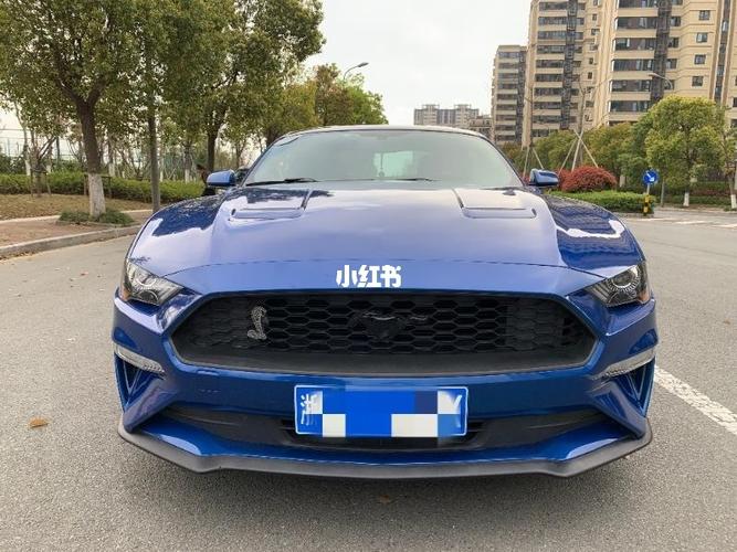 野马新款10速性能版2.3t_方向盘_运动_mustang怎么样