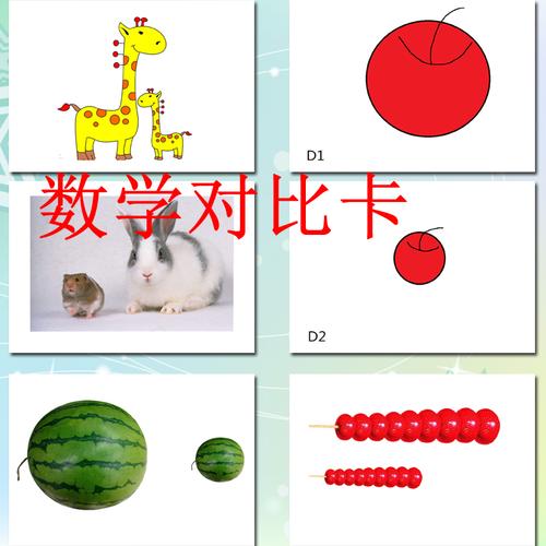 数学对比卡片大小长短儿童比较卡学习认知卡 自闭症