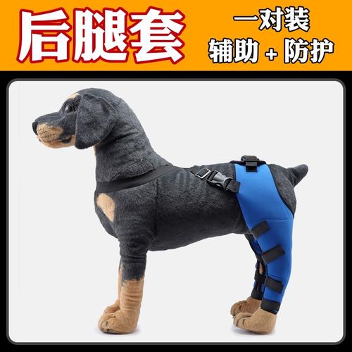 狗狗后腿大腿受伤骨折固定手术支架护腿套髌骨错位金毛大型犬护具