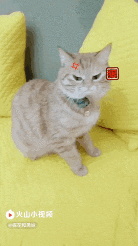 338_600竖版 竖屏gif 动态图 动图