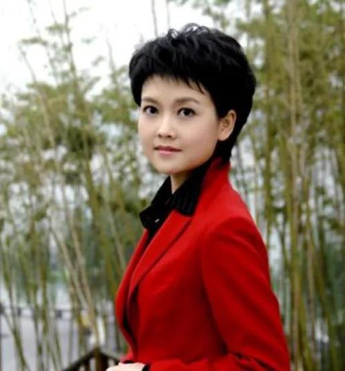 陕西电视台新闻主播杨芳