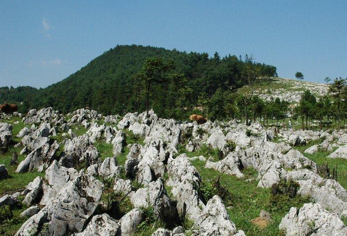 喀斯特地貌大观园——千野草场