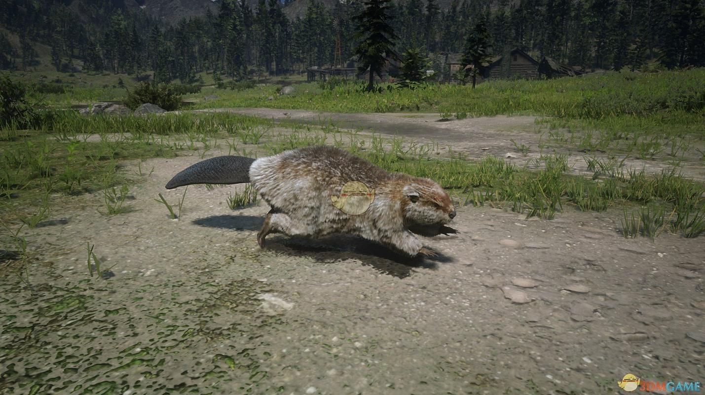 荒野大镖客2传说齐奇河狸及其服装外观一览