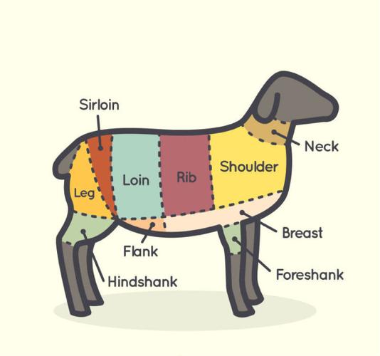 羊肉部位分割图矢量素材素材格式ai素