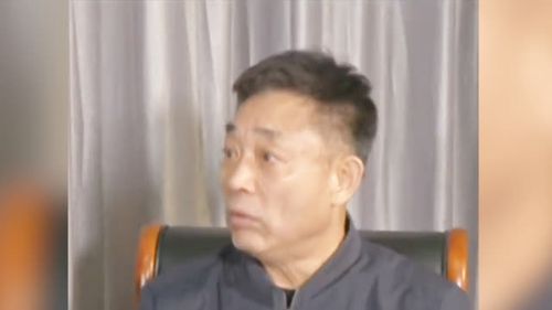 视频曹园主人曹波被警方依法刑事拘留接受采访曾坚称没有毁林