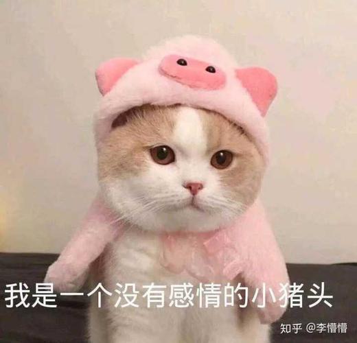 我也不知道我在说什么了,可能是发泄了一通.