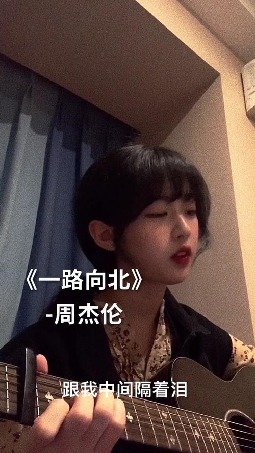 音乐#我一路向北离开有你的季节,你说你好累已无法再