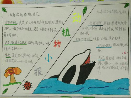 逸夫小学二5班"有趣的动植物"手抄报