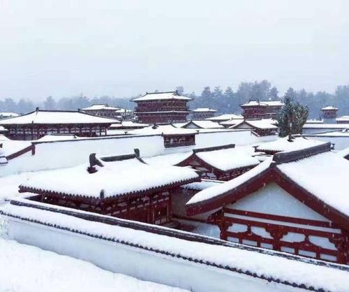 一场雪,才知素颜的中国有多美!带你看最浪漫雪景!
