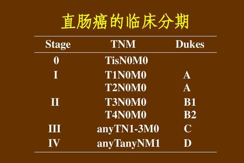 所有分类 医药卫生 临床医学 直肠癌的放疗ppt  直肠癌的临床分期