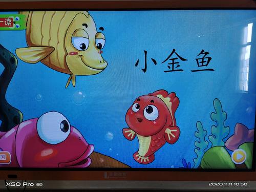 绘本儿歌《小金鱼》