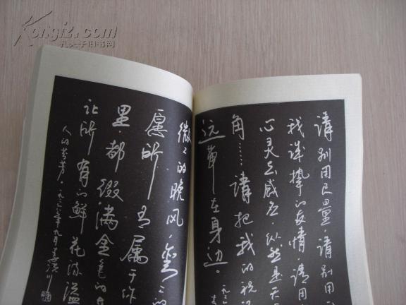 【好看的钢笔字】多体标准钢笔字帖 李洪川手写 硬笔书法名家 一版一