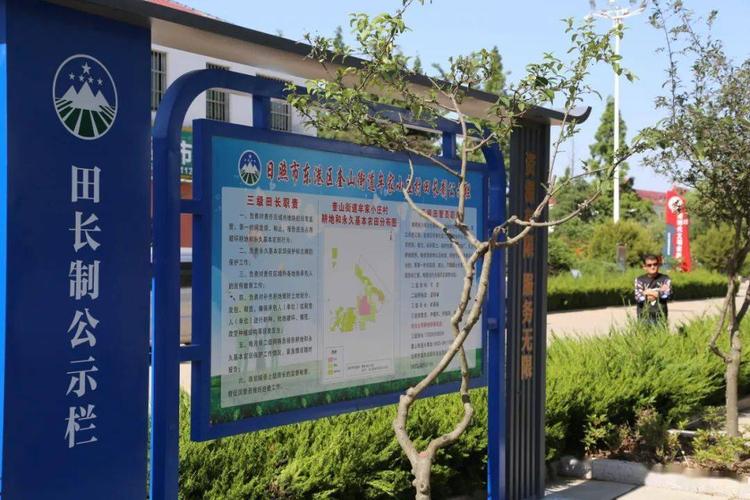 日照市田长制现场会第一站在经开区举行