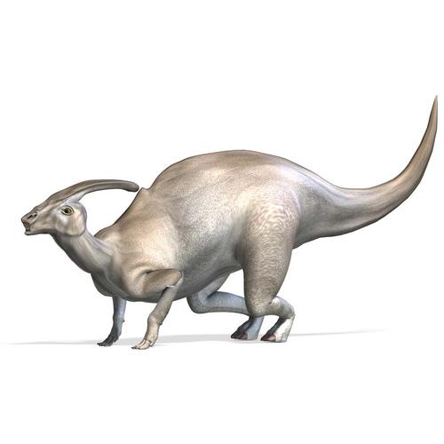 独角龙的食性与生态