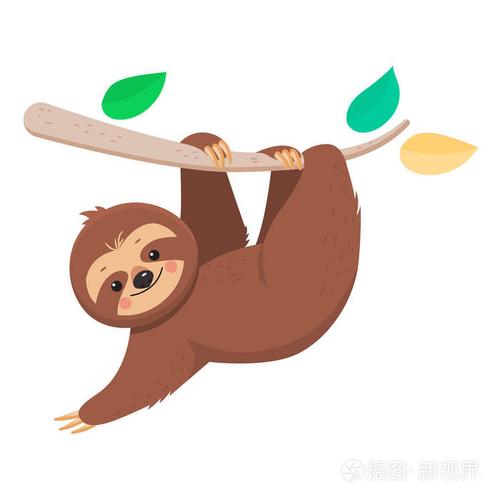 快乐可爱的卡通树懒挂在树枝上