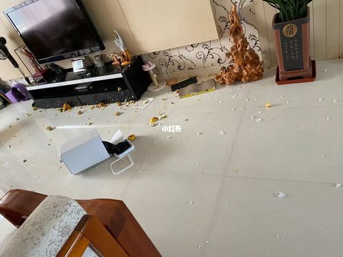 男朋友一吵架就摔东西 继续还是分手_分手_男朋友_iphone_婚姻_滤镜