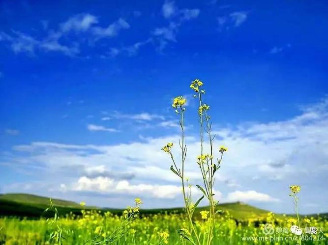 com微信号:ywdq0901 fjh871017返回搜狐,查看更多