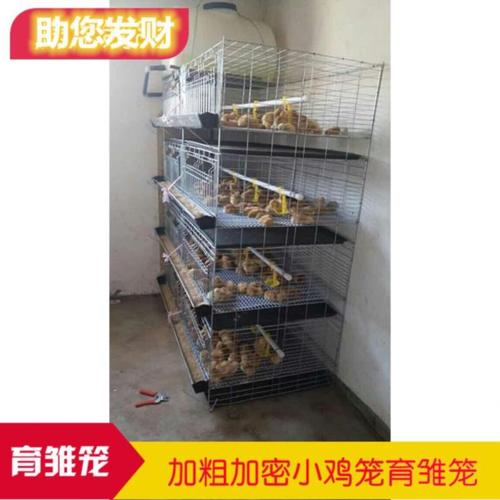 育雏保温笼子豪华尺寸格子雏鸡立式笼子
