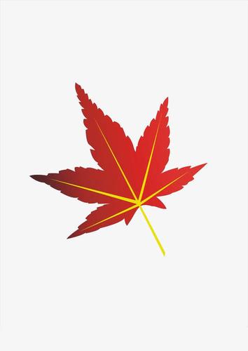 背景 壁纸 枫叶 红枫 绿色 绿叶 树 树叶 植物 桌面 610862 竖版 竖
