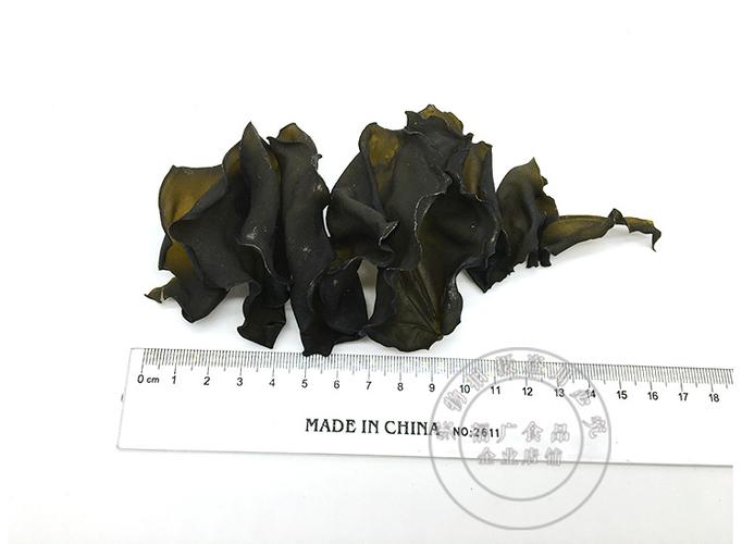 2016年新货海木耳裙带菜厂家批发海白菜海产干货海灵芝海木耳