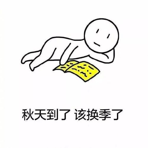 无法自拔 但是 你们的经管君还是按时上线啦 杨凌的秋风一点都不温柔