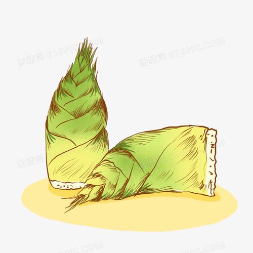 手绘春笋插画免抠元素