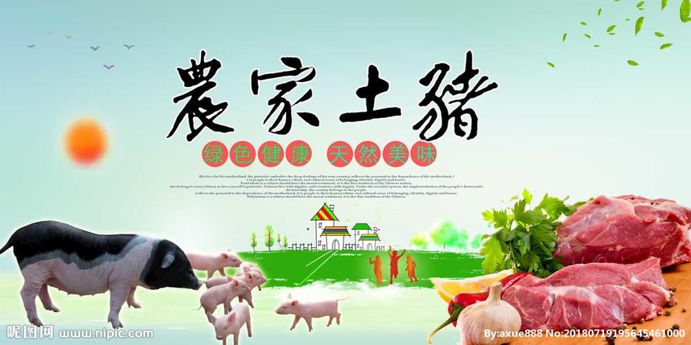土猪设计图__海报设计_广告设计_设计图库_昵图网.
