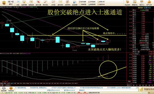 中公教育吧(002607.sz) 正文