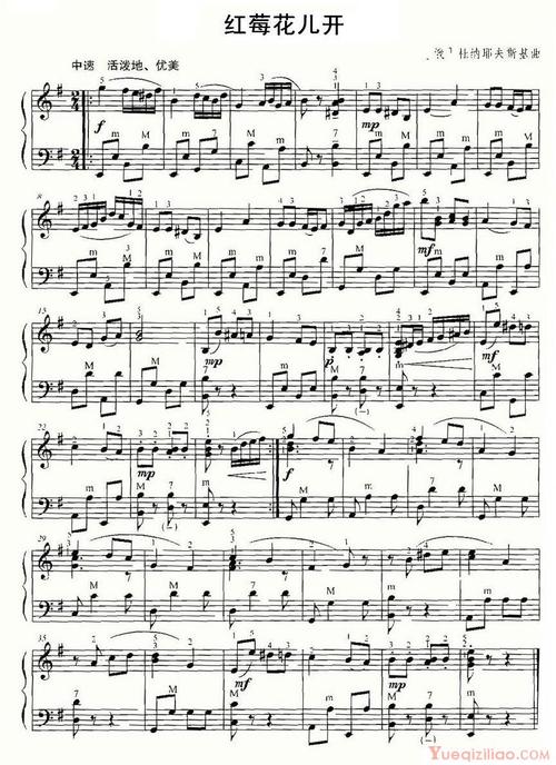 手风琴乐曲【红莓花儿开】五线谱