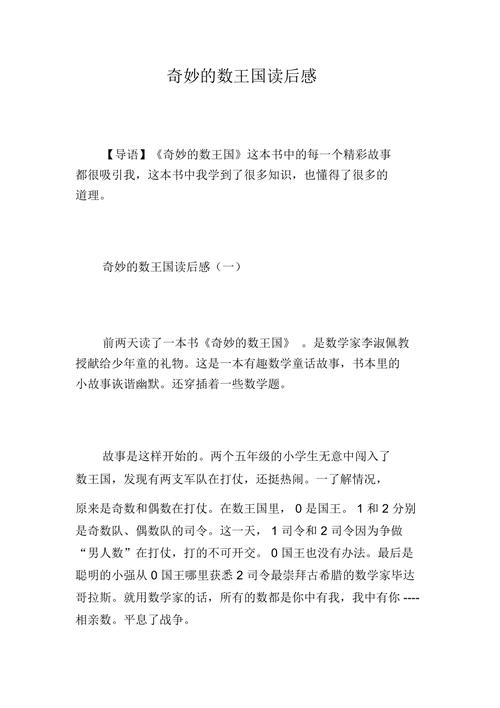 奇妙的数王国读后感
