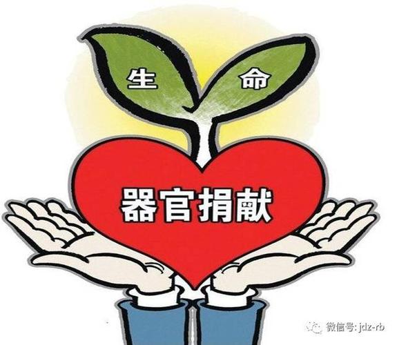 这项善举,让生命永续