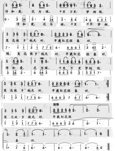 芦花(二声部合唱)