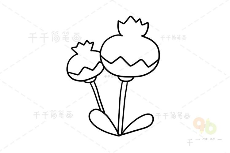 罂粟花简笔画怎么画
