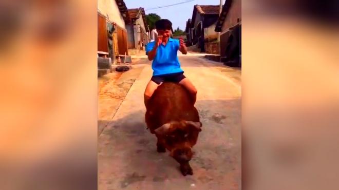 成功后一个顶30人干活,月售50台,全村人没一个敢不服 新鲜农事会 03