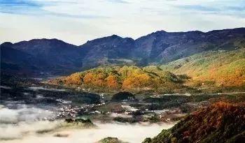 空山天盆景区