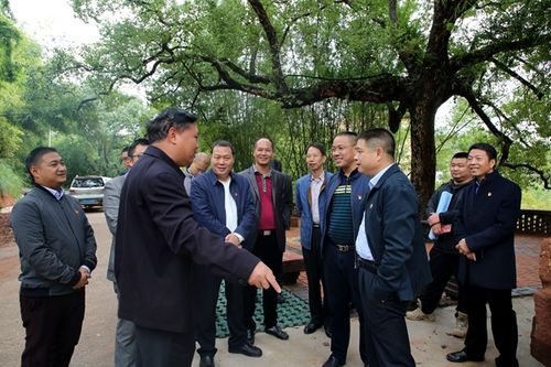 11月19日,市委书记王碧安市率队深入黄坑,南亩,坪田,乌迳四镇,专题
