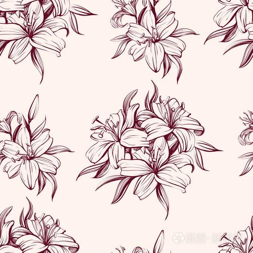 花盛开的百合花背景手绘制的矢量插图速写