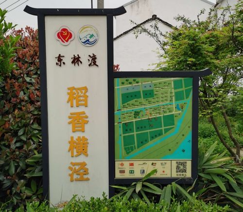 【畅影游园】横泾东林渡东太湖