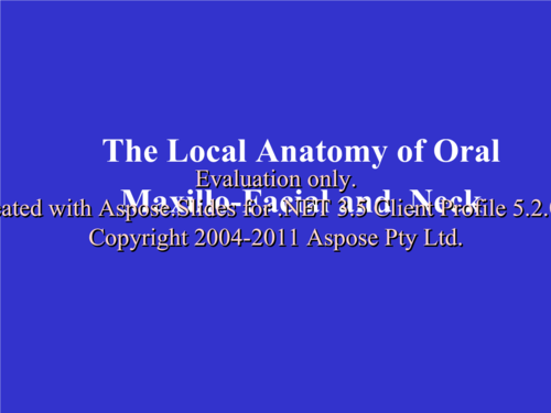 the local anatomy 的of oral maxillo-facial and neck.ppt