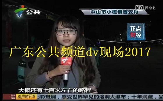广东公共频道dv现场2017
