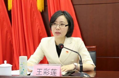 王彩莲:提高站位认清形势 聚焦重点守牢底线