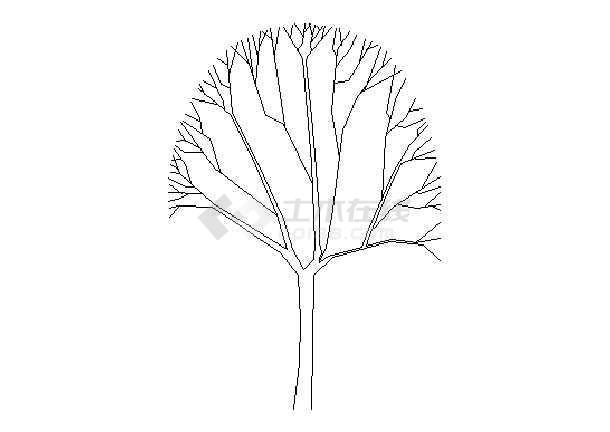 非常实用的建筑cad常用千种图块之立面树(近百张)