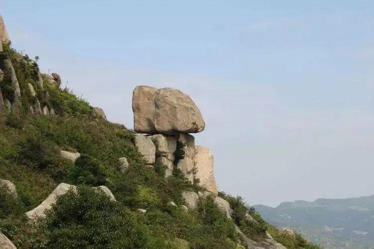 昨天,鳌江这里有杨梅节!来了1000人_搜狐旅游_搜狐网