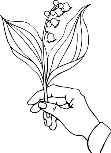 风铃花简笔画值物花风铃花植物花简笔画步骤图片大全