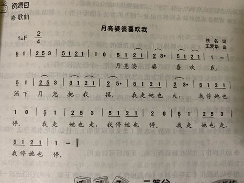 音乐:月亮婆婆喜欢我(歌词)