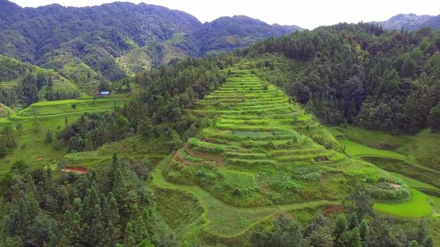 寻龙点穴,仙女散花,嫦娥奔月风水宝地